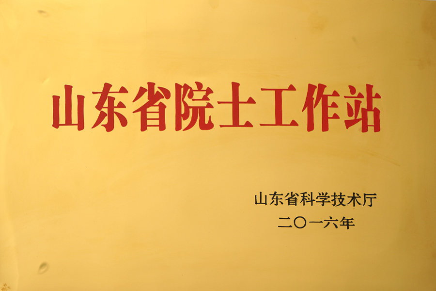 山東省院士工作站